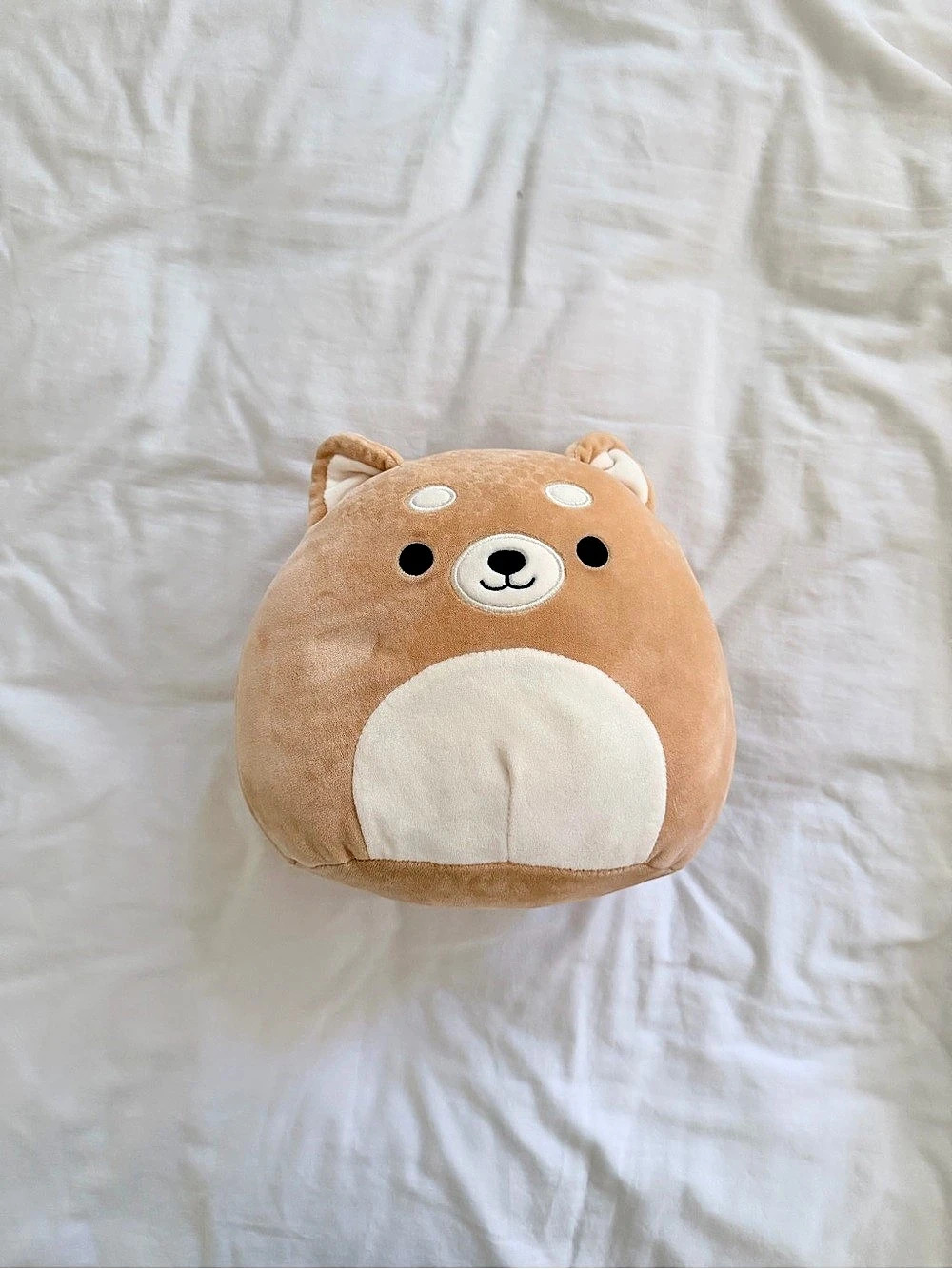Squishmallows Angie the Shiba Inu Plush Brown & White